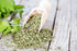 Health Embassy Lovage Leaf | Levisticum Officinale L | 100% Natural (50g)