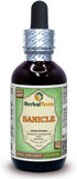 Herbal Terra Sanicle (Sanicula Europaea) Glycerite, Alcohol-Free Liquid Extract 2 oz