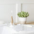 Pack 3 RADIUS Toothbrush Source Floss Brush BPA Free & ADA Accepted Improve Gum Health & Reduce Gum Issues - Super Soft