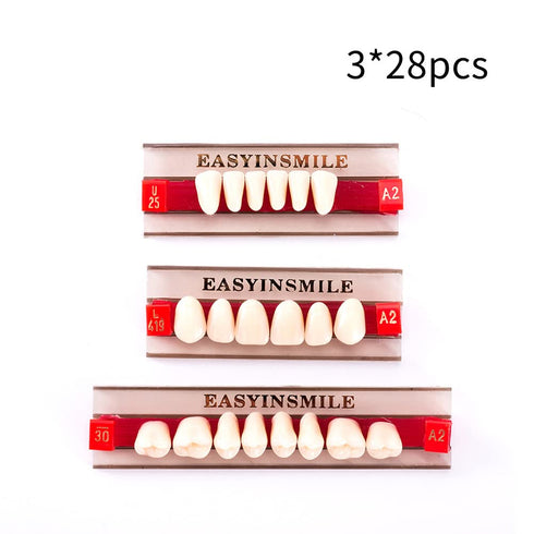 Dental Synthetic Resin Teeth A2 A3, False Upper Lower Teeth Replacement Dentures for Halloween (Full Set A2)