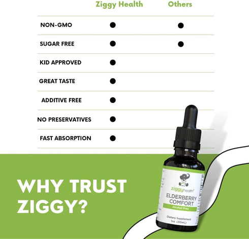 Organic Elderberry Tincture - Liquid Elderberry Drops for Immune Support, Respiratory Defense, 1oz - Ziggy Health