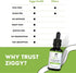 Organic Elderberry Tincture - Liquid Elderberry Drops for Immune Support, Respiratory Defense, 1oz - Ziggy Health