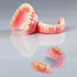 Do It Yourself Fake Tooth Repair Kits, Temporary Partial or Full Dentures, Tooth Fixing Kit