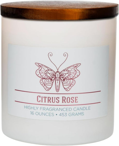 Citrus Rose Scented Jar Candle, Relaxing Aromatherapy Candle, 2 Wick White Jar, 60hr Burn