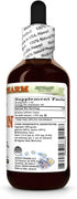 Hawaii Pharm Bulb 2 fl.oz Onion (Allium Cepa) Dry Glycerite, All Natural, Vegan, Lab Tested Alcohol-Free Liquid Extract