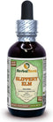 Slippery Elm Glycerite, Organic Dried Bark, Alcohol-Free Liquid Extract, 2 oz