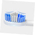 Sonic Vibration Electric Toothbrush - Waterproof USB Charging in White