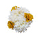 Traditional Indian Hair Accessories White Gajra with Yellow Rose Artificial Flower Jewelry for Women Party Wear