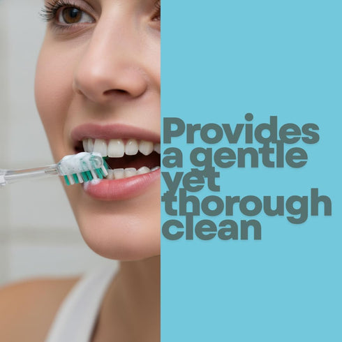 Set Japanese Ionic Toothbrush - Premium Negative Ion Technology - Yamakiri Mountain - Cutting Regular Brush Hair