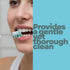 Set Japanese Ionic Toothbrush - Premium Negative Ion Technology - Yamakiri Mountain - Cutting Regular Brush Hair
