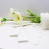 Package 120pcs Dental Floss Picks- Individual Portable Floss Flossers with Travel Case Superfine Floss Picks Dental