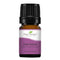 Plant Therapy Palo Santo Essential Oil - 100% Pure, Undiluted, Natural Aromatherapy, Therapeutic Grade, 5 mL (1/6 oz)
