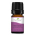 Plant Therapy Palo Santo Essential Oil - 100% Pure, Undiluted, Natural Aromatherapy, Therapeutic Grade, 5 mL (1/6 oz)