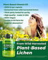 NATURELO Vitamin D3 - Lichen-Powered Immune Boost with 2500 IU for Bone Health, Vegan Gluten-Free, 180 Mini Capsules (2