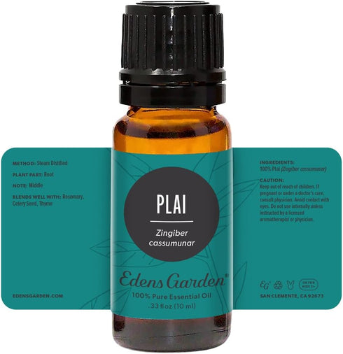 Plai Essential Oil - 100% Pure Premium Grade, Undiluted, Natural, Therapeutic, 10 ml by Edens Garden
