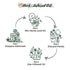Well's Herb Dried Horsetail | 0.5 oz. | 100% Natural Herbal Ingredient for DIY Beauty Essential