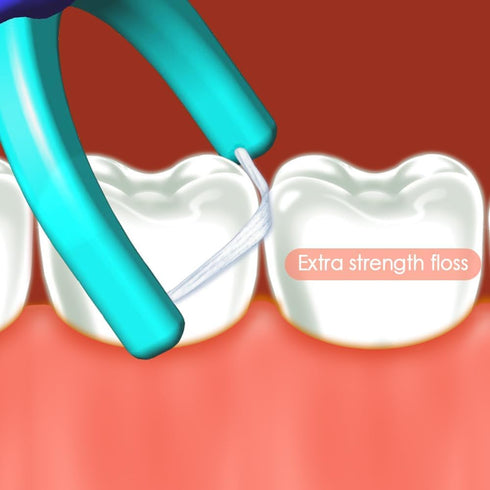 T.Smile 5-inch (1 100 NoFuss Dental Flosser Kit, Long Handle & Refill Heads, Extra-Strength Floss for Comfortable