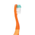 Practicon SmileGoods Y241 Turtle Toothbrush, 24 Tuft Soft Bristle, 72 Individually Packaged Premium Toothbrushes