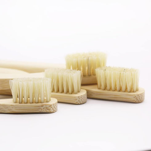 Gaia Guy Natural Bristle Bamboo Toothbrush Family Pack - Compostable & Biodegradable Boar Bristle, 4 Kids & 4 Adults
