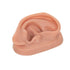 3B Scientific N15/1R SKINlike Silicone Right Acupuncture Ear Model, 3.7" x 2.4" x 1.6"