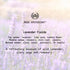 Muse Apothecary Home Ritual Active Odor Eliminator Spray - Odor Eliminator for Home - Furniture Deodorizer Spray & Bathroom Odor Eliminator - Essential Oil Air Freshener - 4oz, Lavender Fields