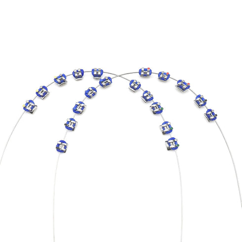 1 Pack Temporary Tooth Decoration with Metal Wires,Metal Bracket and Orthodontic Ligature Ties,Practice Props for Dental Students,lecture prop for orthodontists. (Dark blue)