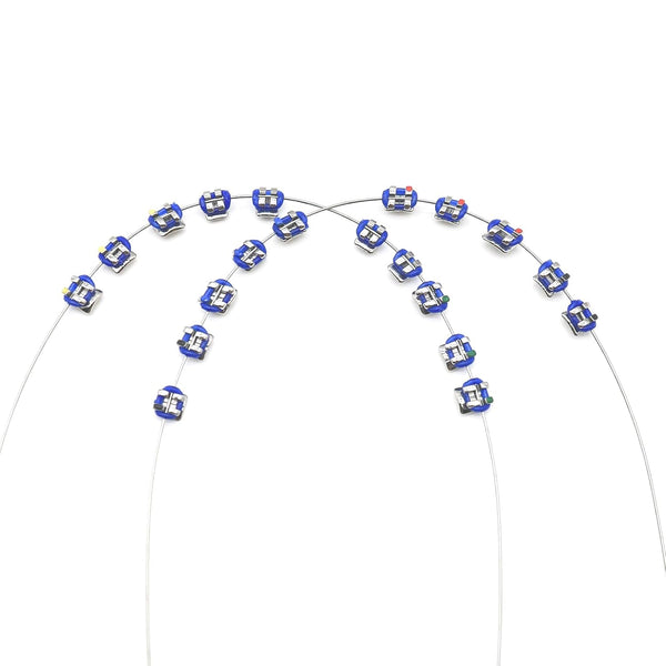 1 Pack Temporary Tooth Decoration with Metal Wires,Metal Bracket and Orthodontic Ligature Ties,Practice Props for Dental Students,lecture prop for orthodontists. (Dark blue)