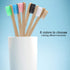 Toothbrush Soft Nylon, 6 Colors Recyclable for Oral Care (Blue)