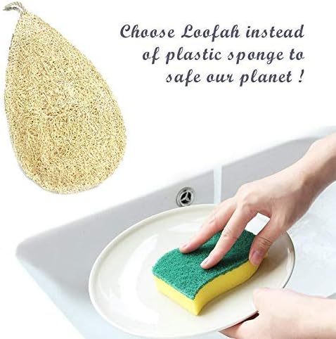 Natural Loofah Dish Sponge Pack of 10 Miw Piw Vegetable Scrubber for Kitchen - 100% Biodegradable Compostable