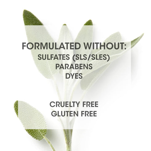 SEVEN haircare - Cubica 7-DAY Conditioner with Shea Butter & Vit B5, Lightweight for Any Hair Type - 2 oz