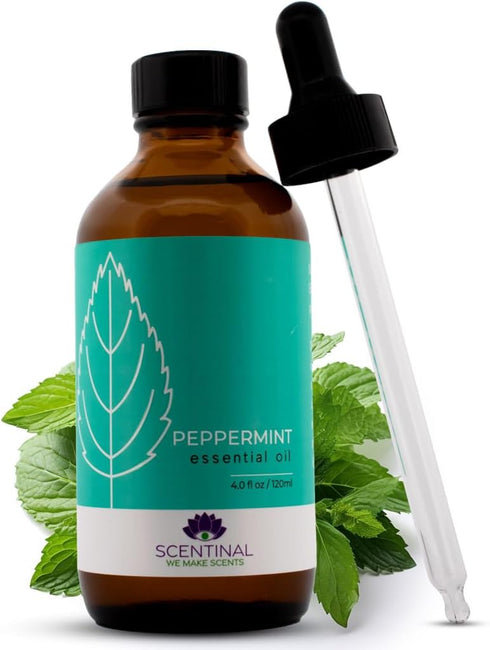 Scentinal Premium Peppermint Essential Oil - 100% Pure Natural & Undiluted - Extra Large 4oz Bottle