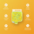 NUDE Mints | Dual Action Liquid Capsules, Mouth Watering Mint - Lasts 3X Longer, 3X Stronger, Sugar Free, Honey Lemon -