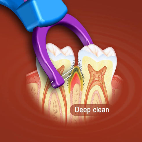 Evolutionary Clean Dental Flossers - Kit of Refills Plus Long Handle (2 Handles + 200 Refills)