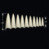 VIVACE 2PACK Natural/Clear Long Stiletto Artificial Fake Gel Nail Tips (Total 1000 Tips) 10 Sizes for Nail Salon Nail