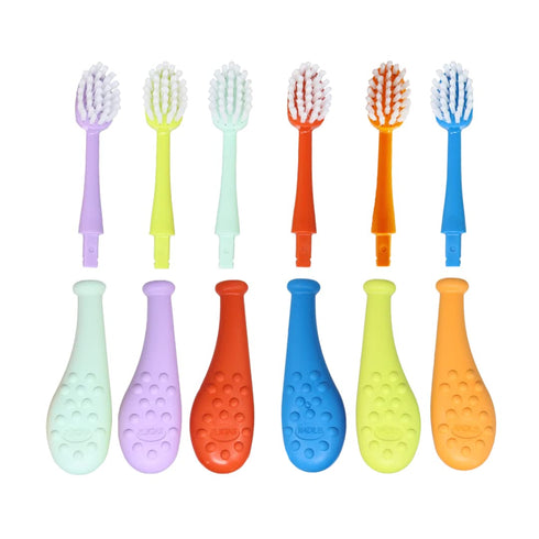 RADIUS Big Kidz Forever Toothbrush with Replaceable Head for Children, 6 Years and Up, BPA Free