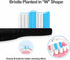 Mullburry FW-507/FW-508/2011/959/917/551, D1/D3/D7/D8,W (6 Pack Replacement Toothbrush Heads Compatible with fairywill