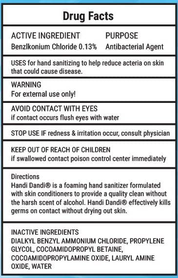HANDI DANDI 99.9% MOISTURIZNG ALCOHOL-FREE FOAMING HAND SANITIZER w/FLOWER PUMP TOP, Kills Of Germs On Hands, Made