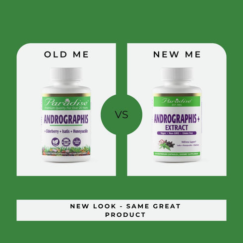Paradise Herbs Andrographis, Elderberry, Isatis, Honeysuckle - Super Potent, Vegan, Non-GMO, 60 Capsules