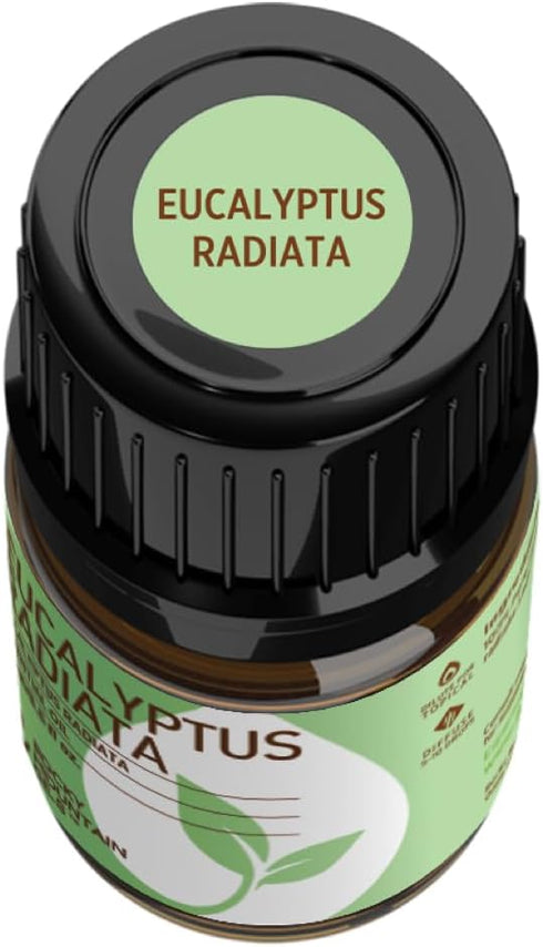 Rocky Mountain Oils Eucalyptus Radiata Essential Oil - Aromatherapy for Diffuser, Topical, Home - 15ml
