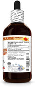 Hawaii Pharm Mulberry Alba) 4 fl.oz Sang Shen (Morus Dry Fruit Tincture, All Natural, Vegan, Pure Liquid Extract