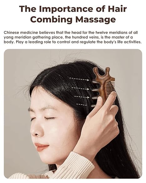 LiZEROGDAX 4 1 in Sandalwood Gua Sha Massager, Scraping Massage Comb, Meridians Tool for Hair, Face, Eye Neck Body
