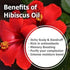 Hibiscus Oil (Hibiscus Sabdariffa L) - Therapeutic Essential Oil by Salvia Amber Bottle 100% Natural Uncut Pure Oil
