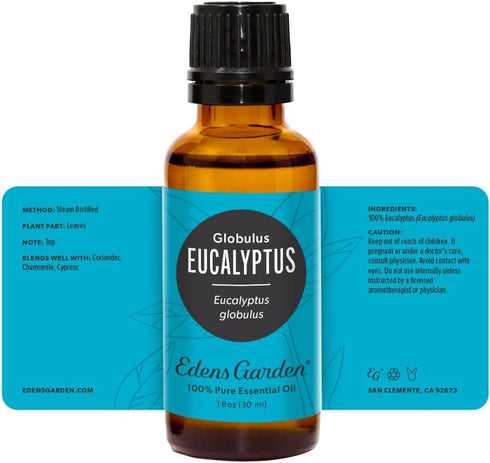 Edens Garden Eucalyptus - Globulus Essential Oil, 100% Pure Premium Grade, 30 ml (1 fl oz)