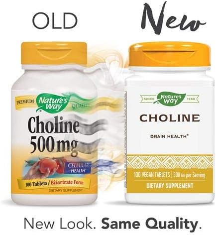 Nature's Way Choline 500 mg, 100 Tablets, Pack of 2 for Health Supplement