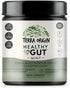 TERRA ORIGIN Healthy Gut Mint Flavor | 30 Servings with L-Glutamine, Zinc, Glucosamine, and More!