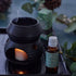 Soap & Paper Factory 1 oz Roland Pine Fragrance Oil
