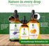 Set SVA Lavender, Orange & Chamomile Essential Oil Bundle Super Saver Combo Premium Grade Aromatherapy Relaxation