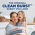 HAMMER 174 oz, 174 ARM & Liquid Laundry Detergent, Clean Burst Fresh, fl Loads