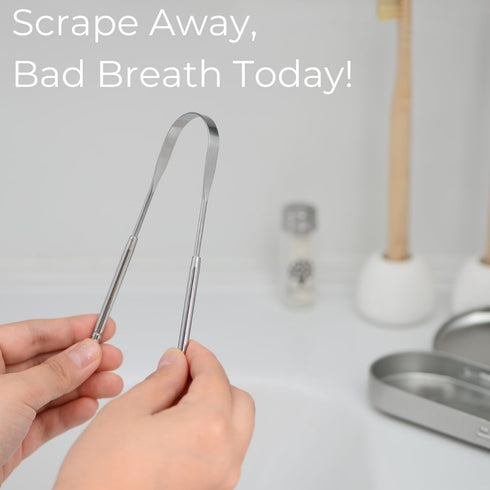 Gaia Guy Stainless Steel Tongue Scraper with Metal Case, 2 Pack Plastic Free Oral Care Tongue Cleaners