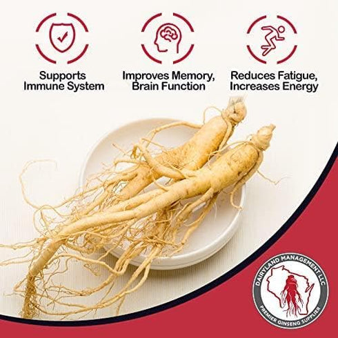 Dairyland Concentrated American Ginseng Powder - 4 oz Non-GMO, Gluten Free Herbal Supplement for Smoothies, Baking, Tea